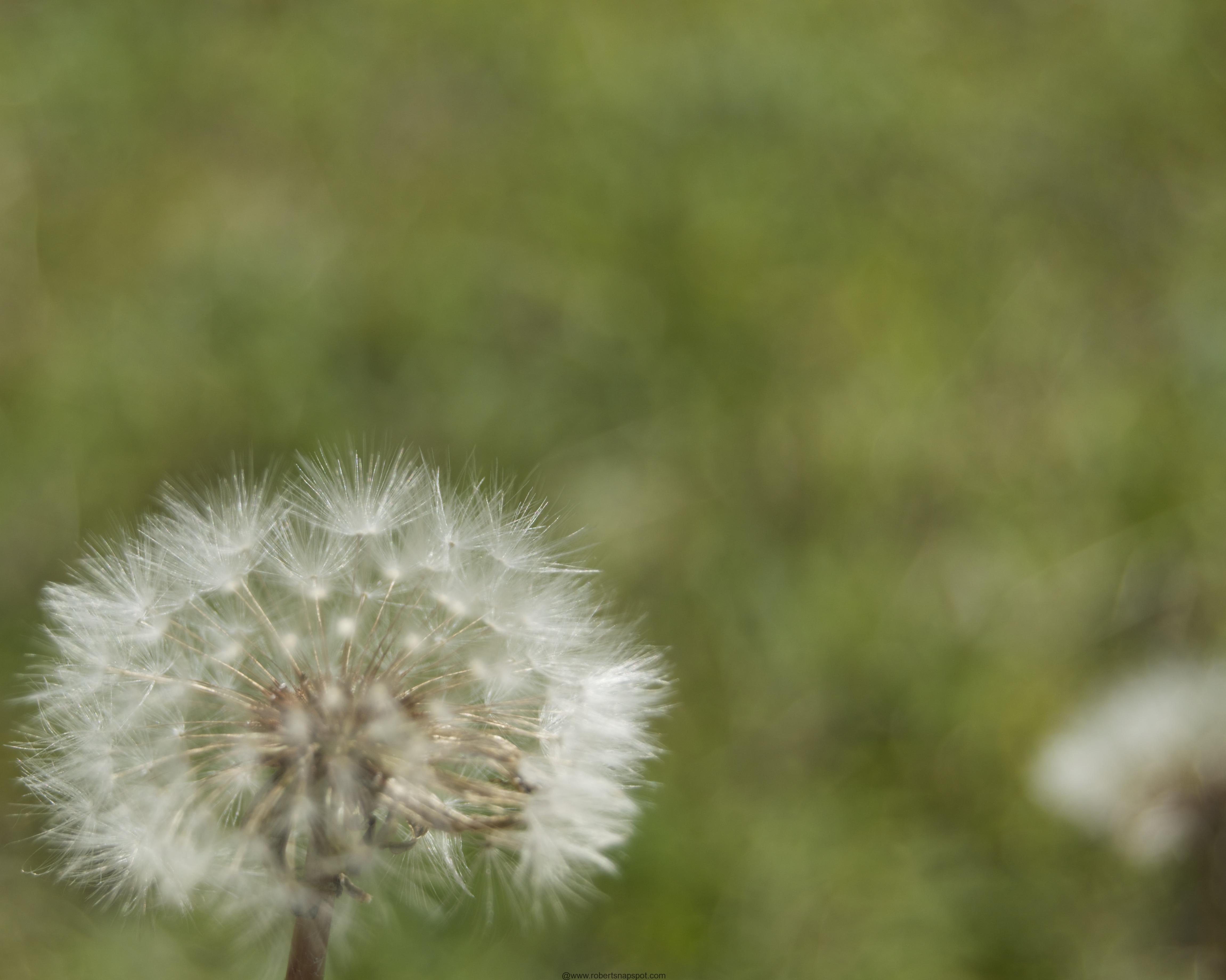 Into the Wind