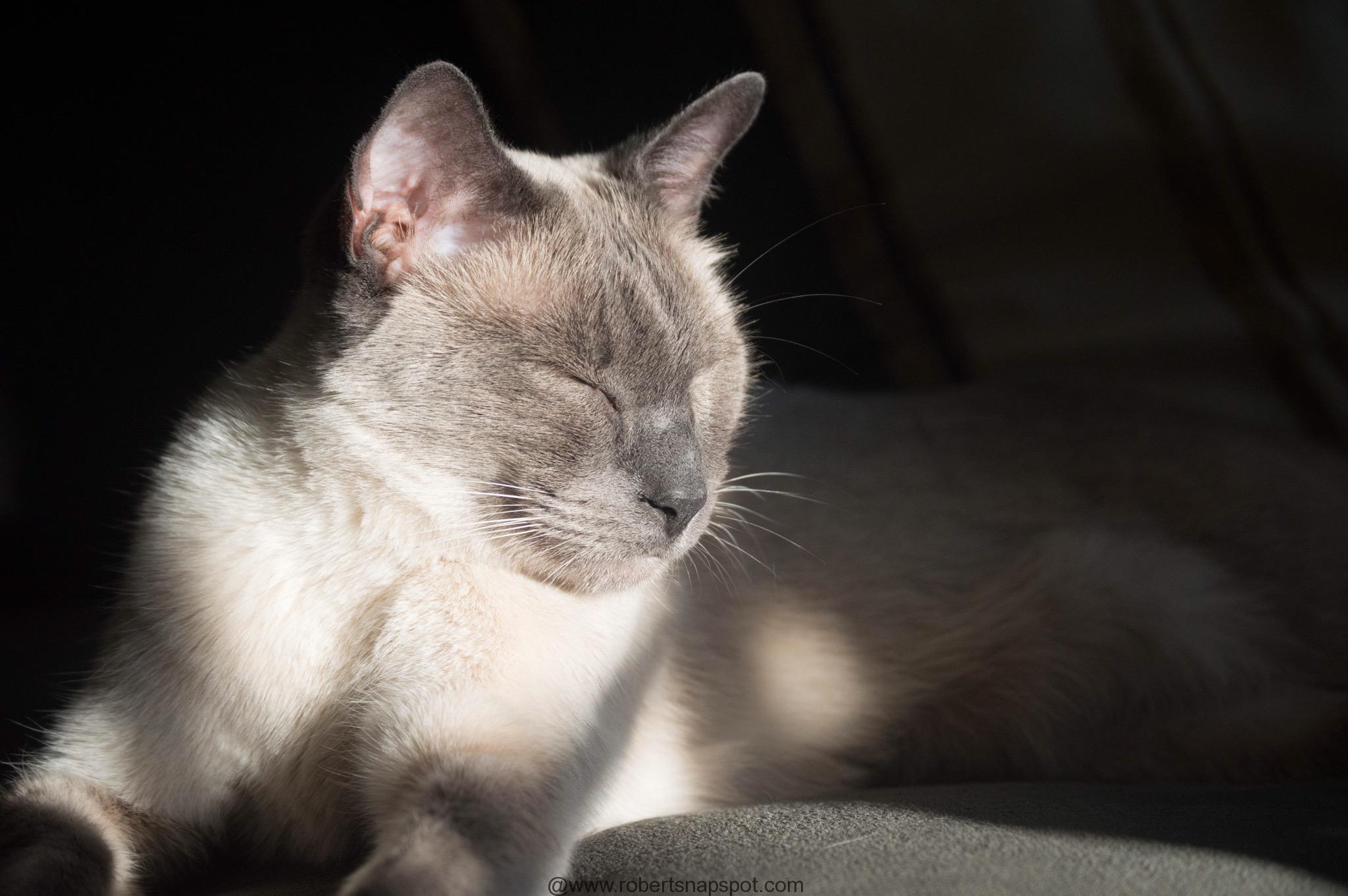 Photography 101: Warmth