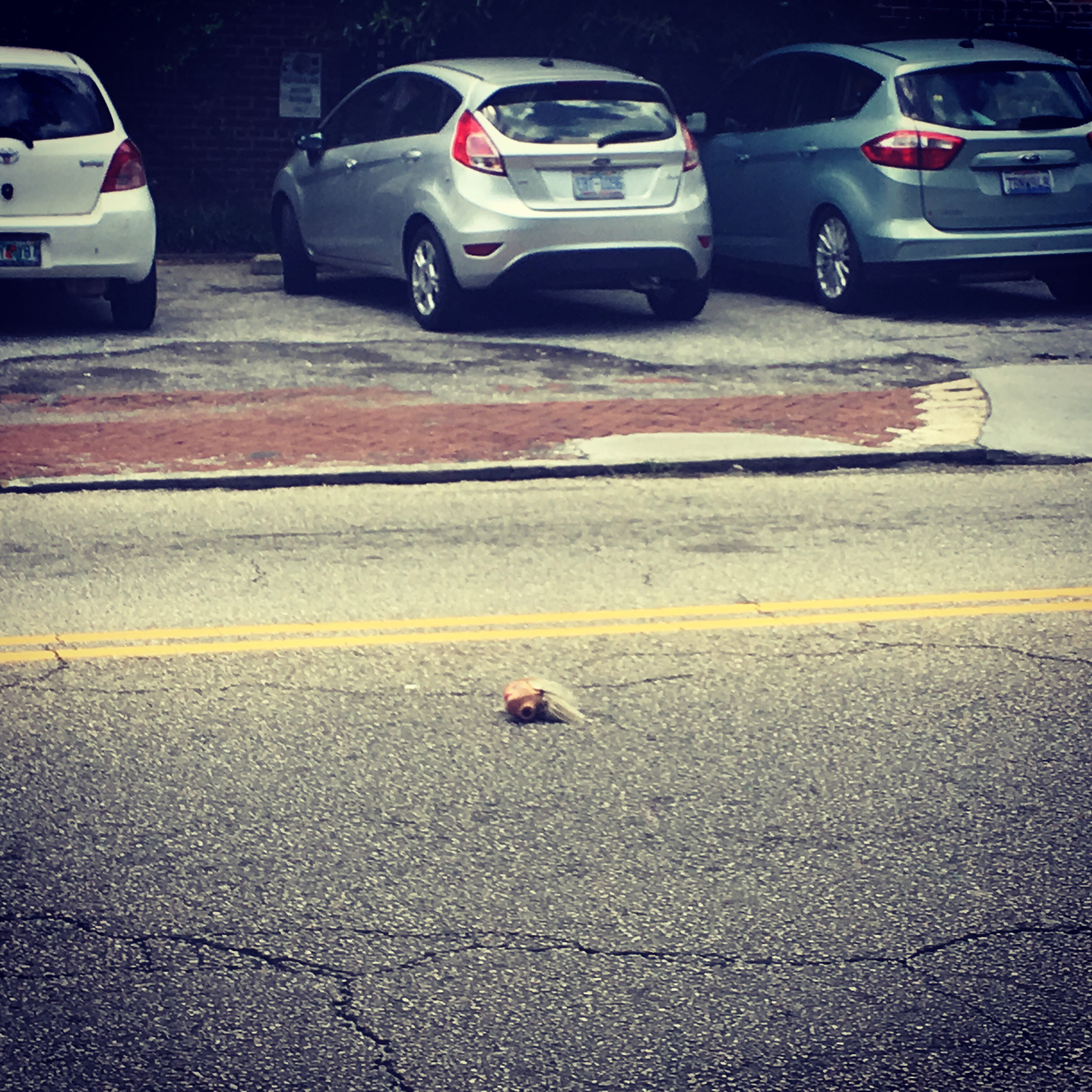 Don’t Lose Your Head Over it!