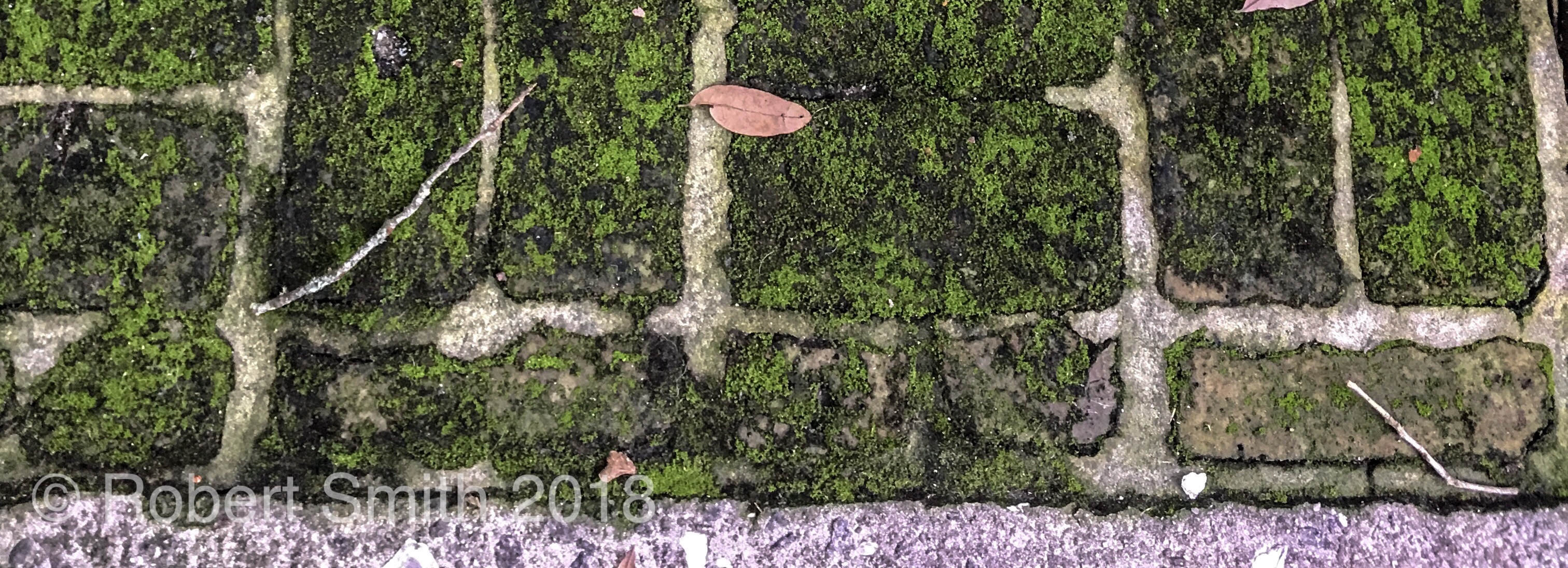 Mossy Bricks