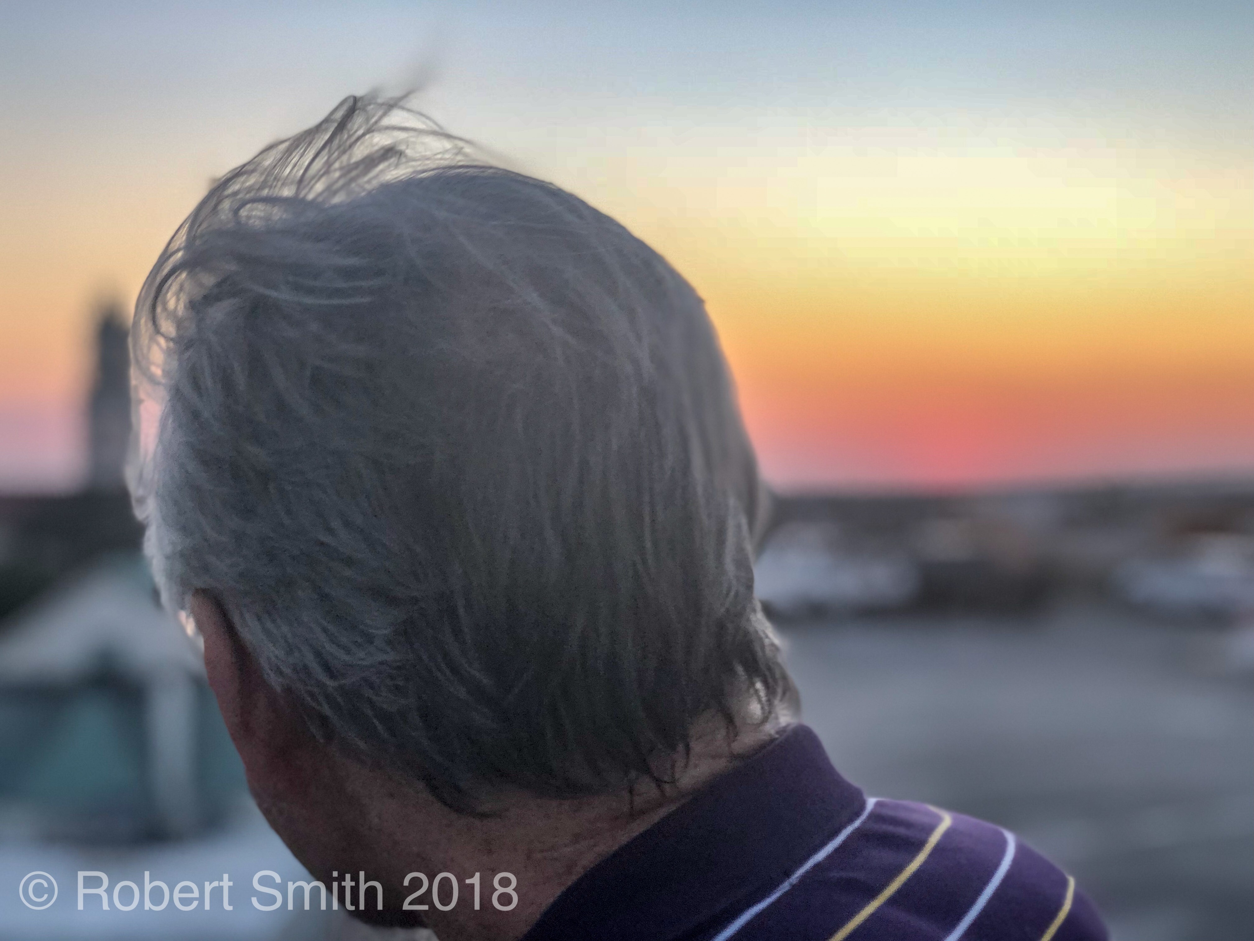 Rooftop Savannah: A Sunset