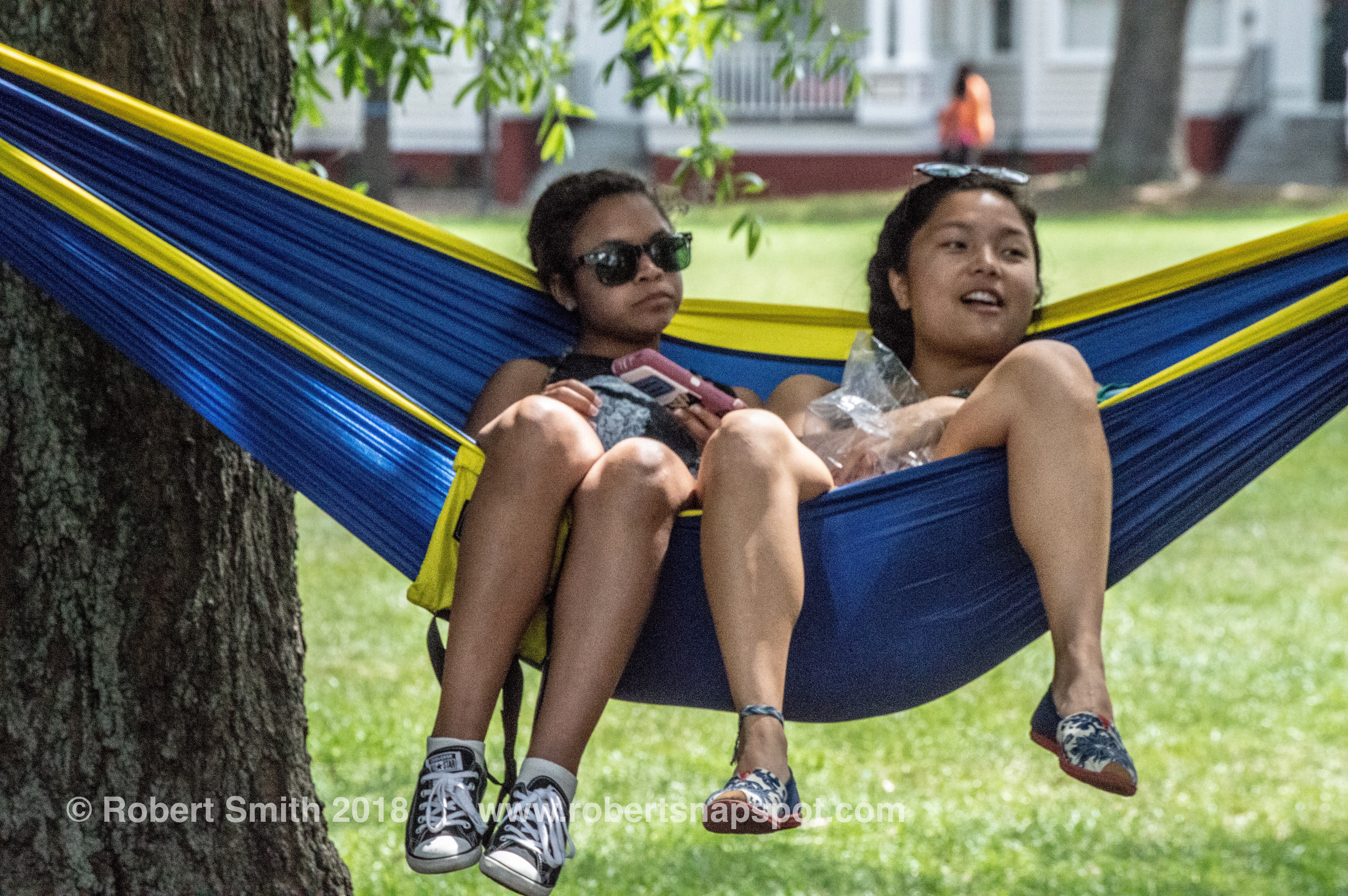 Hammockin Around