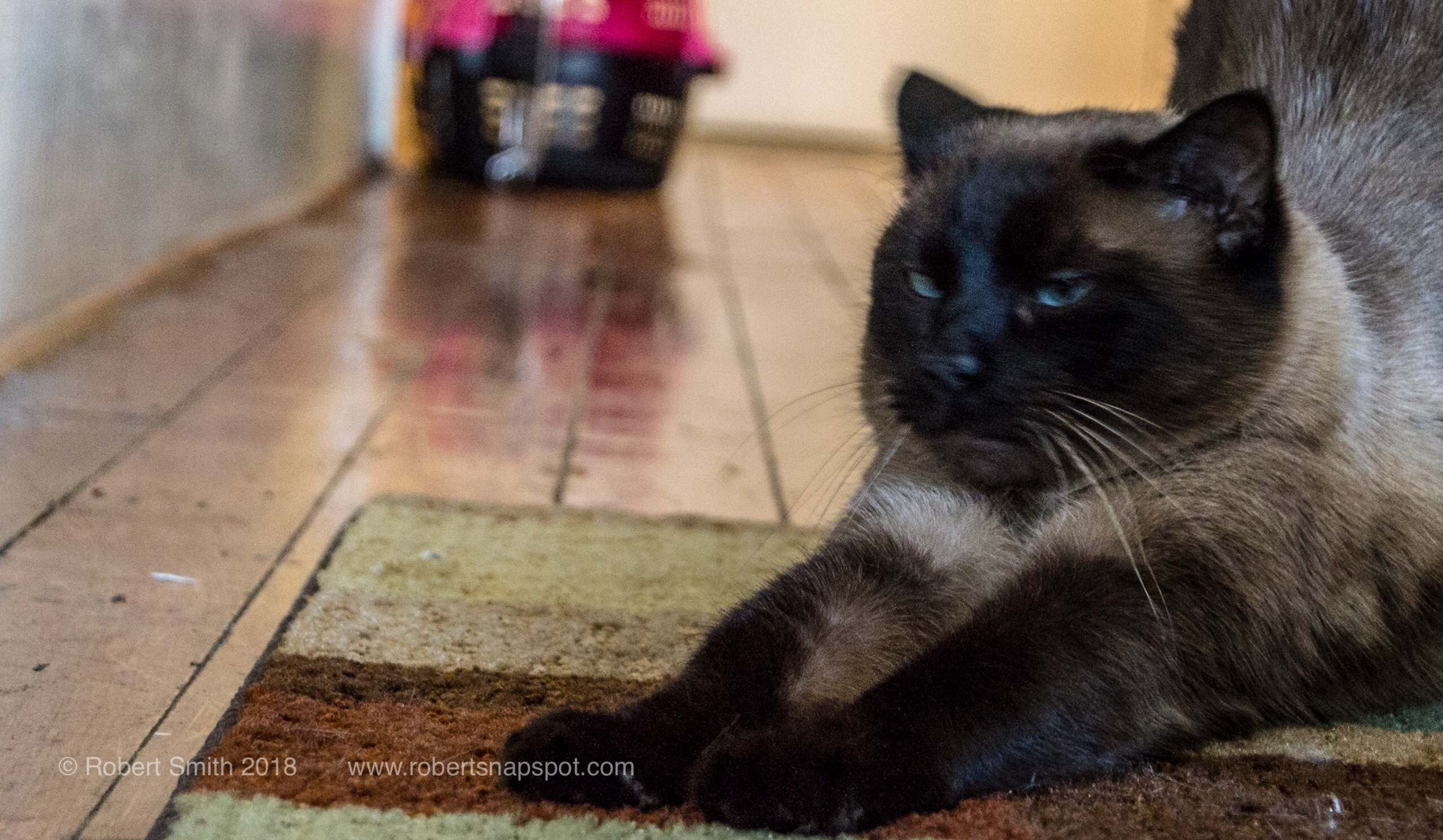 Hello Kitty: Yoga Morning