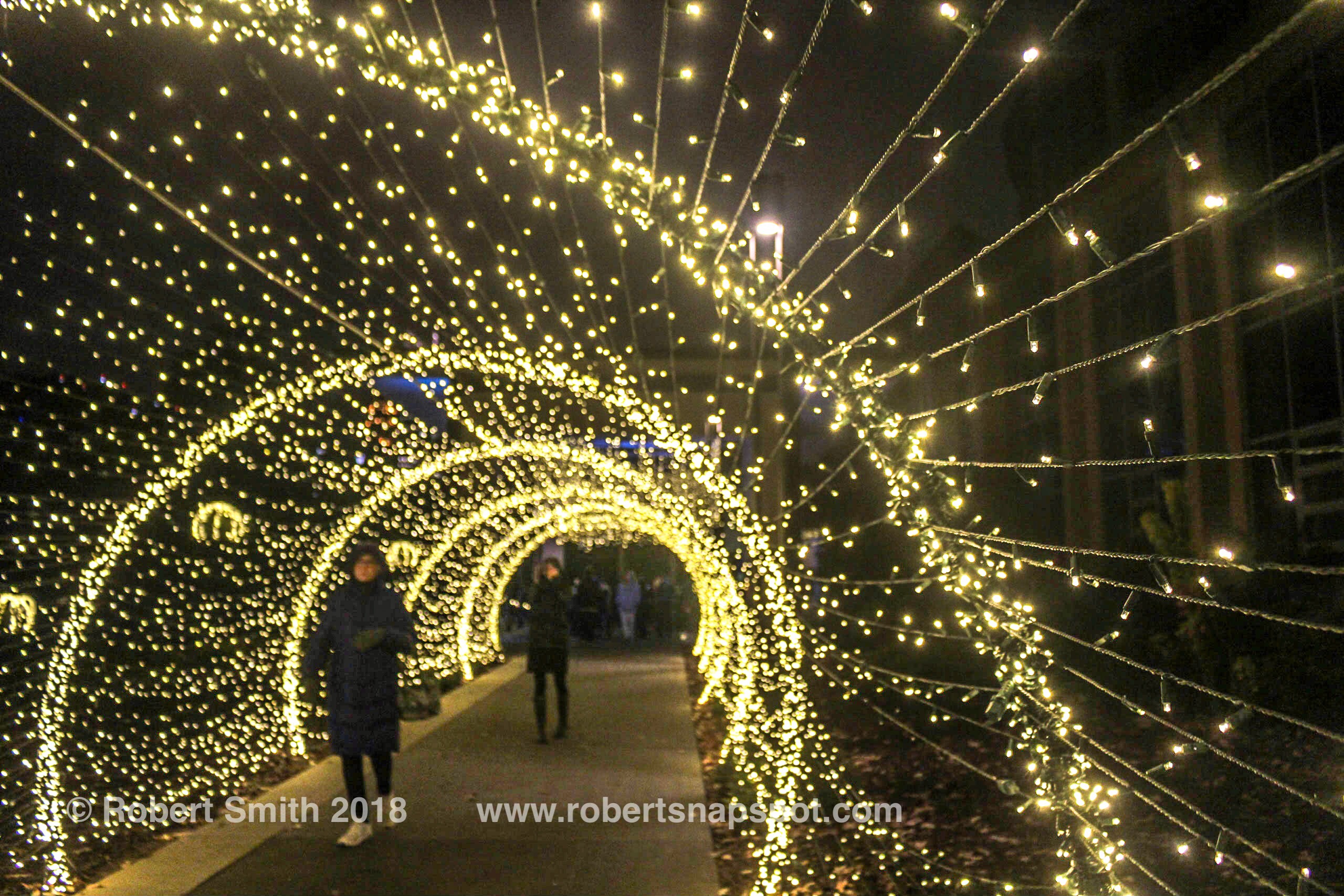 Wordless Wednesday: Tunnel of Light