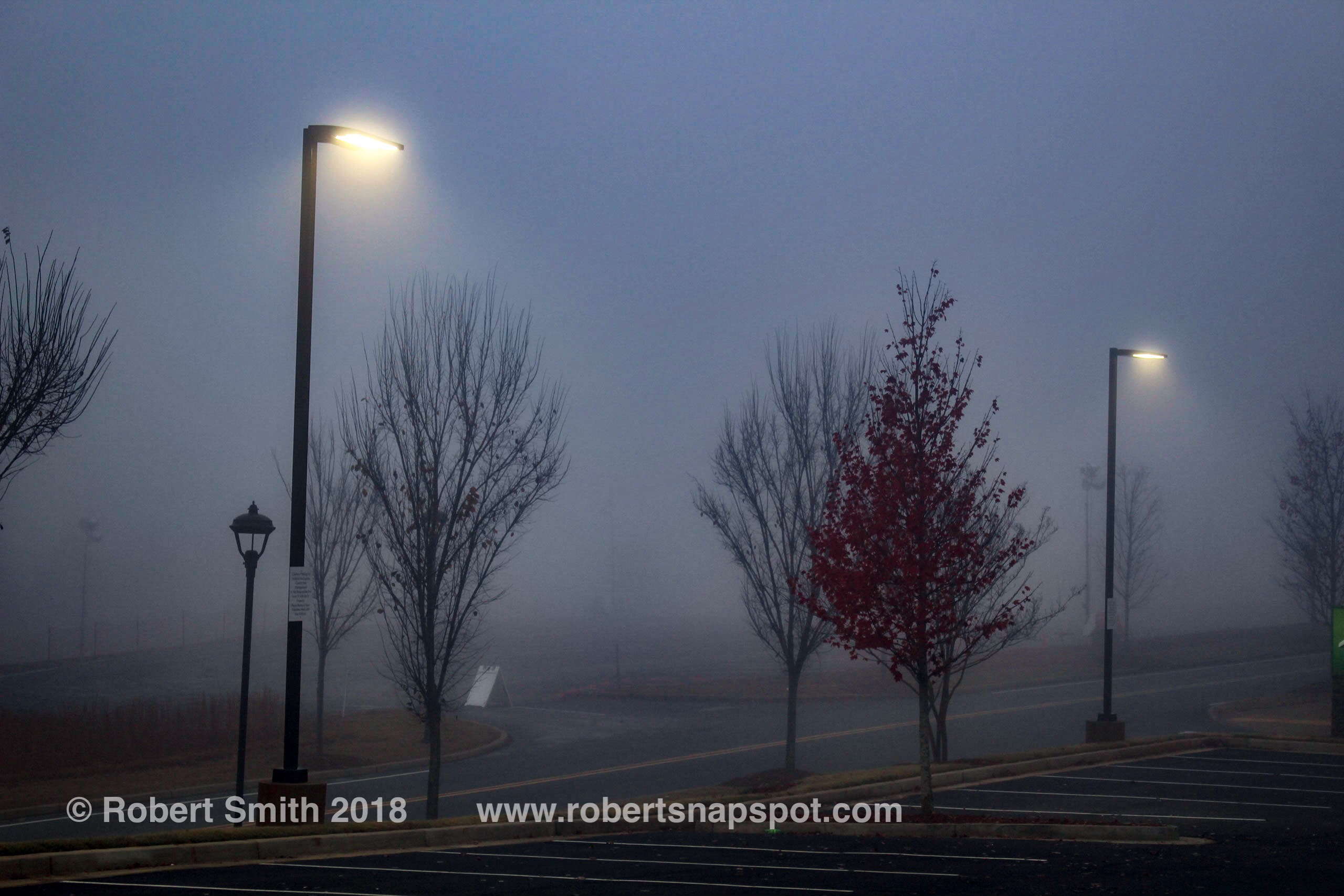 Fog after Rain
