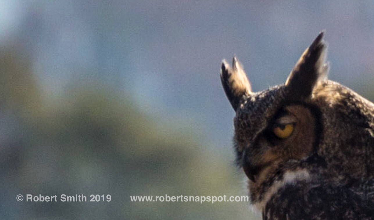 Throwback Thursday, Wildlife: You look like my Dinner