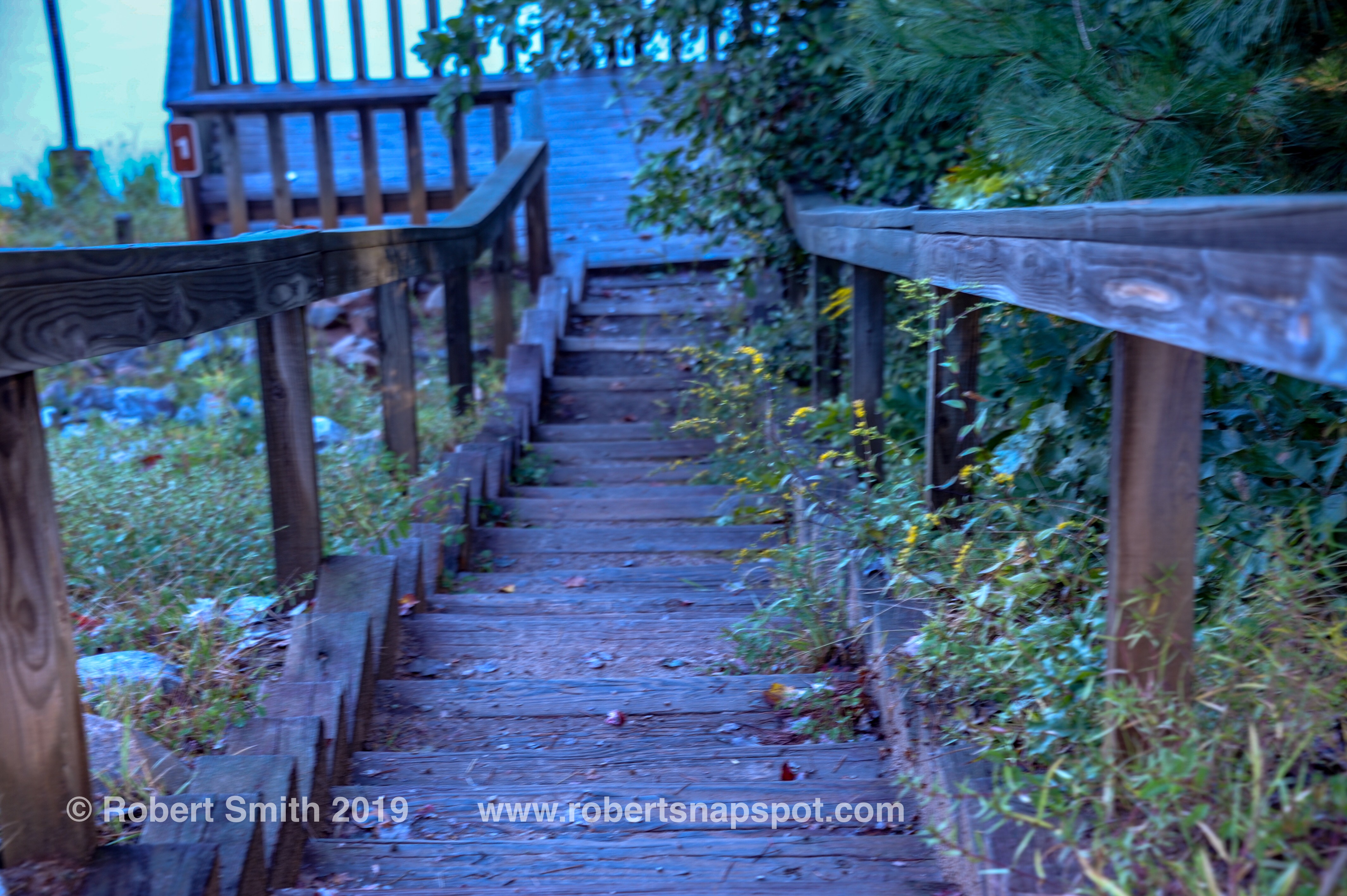 Silent Sunday: Walk to the Lake