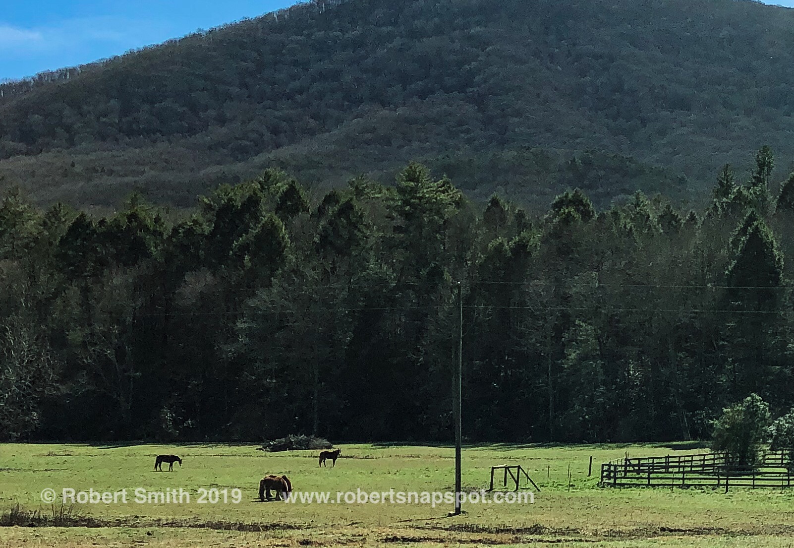 Silent Sunday: Mountain Beauty