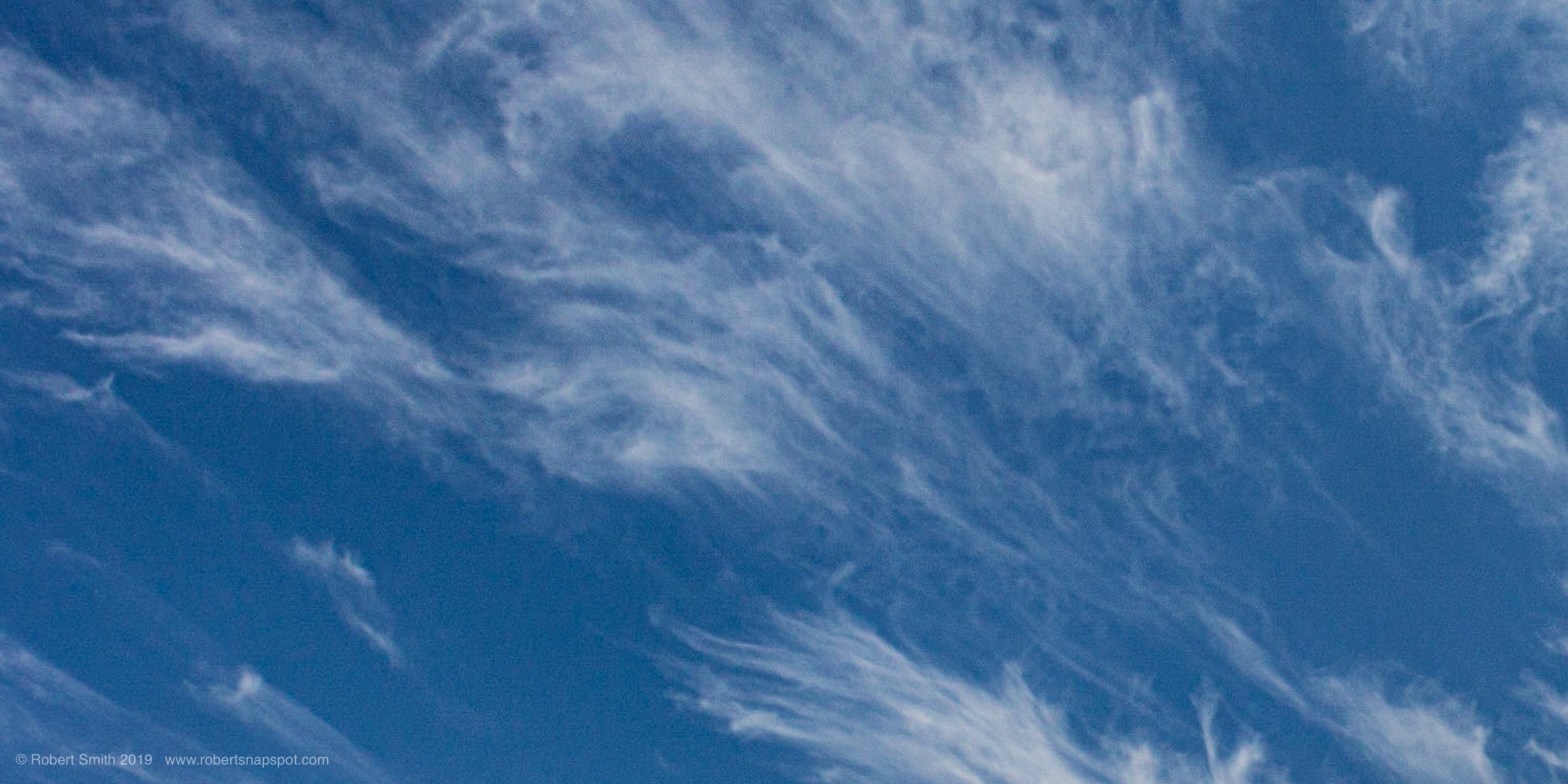 Friday Fun Foto: Sharing the Sky