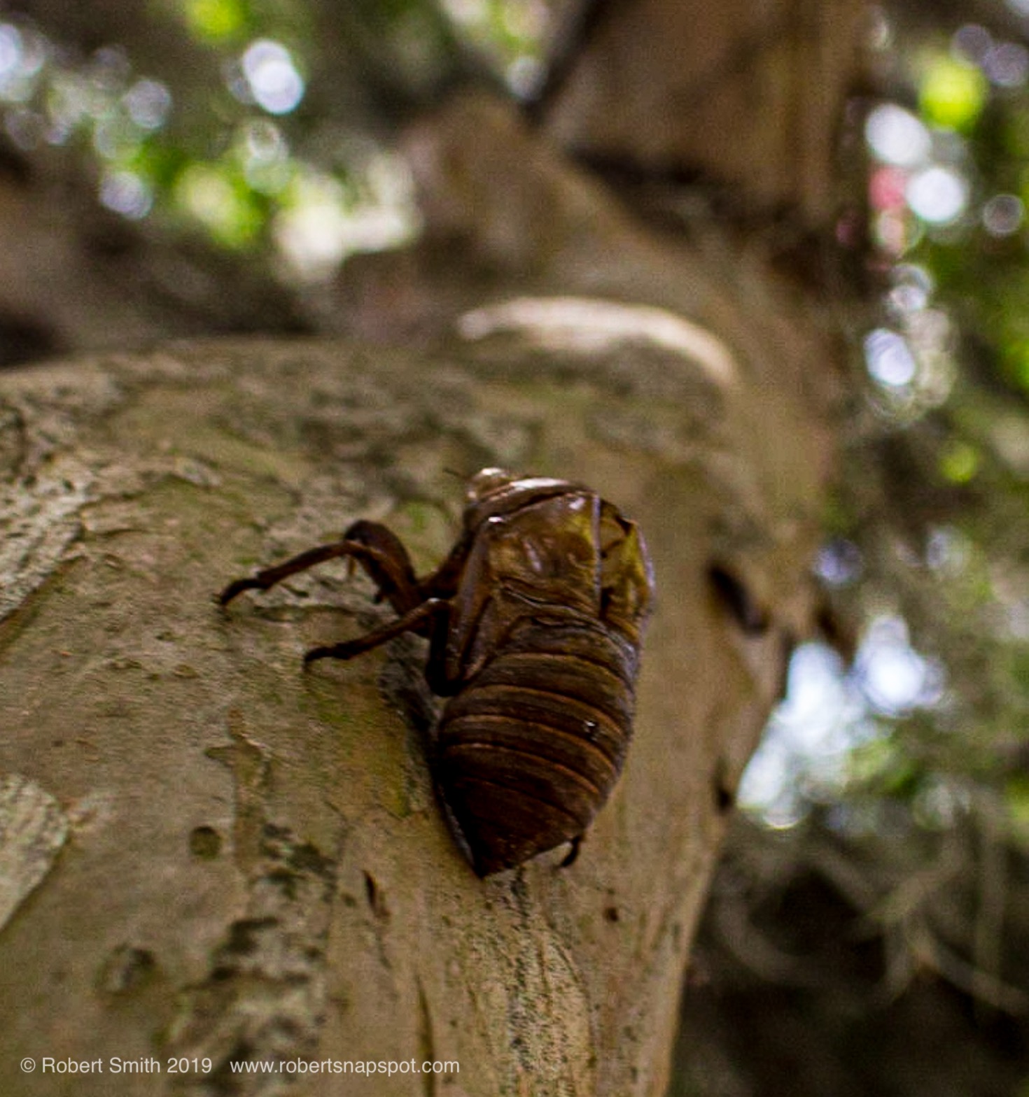 Macro Monday: No One is Home