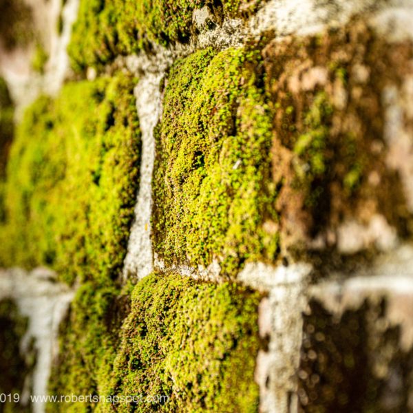 Walled