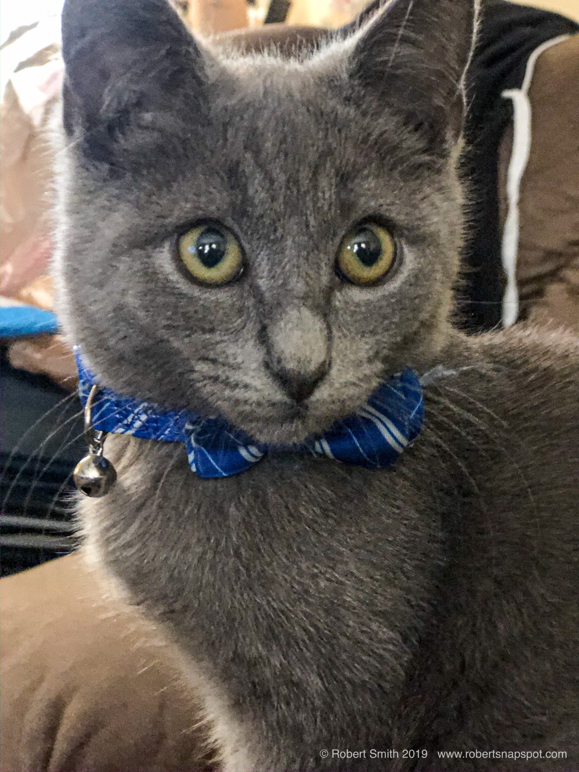 Hello Kitty: Hello Again, Sir Luna