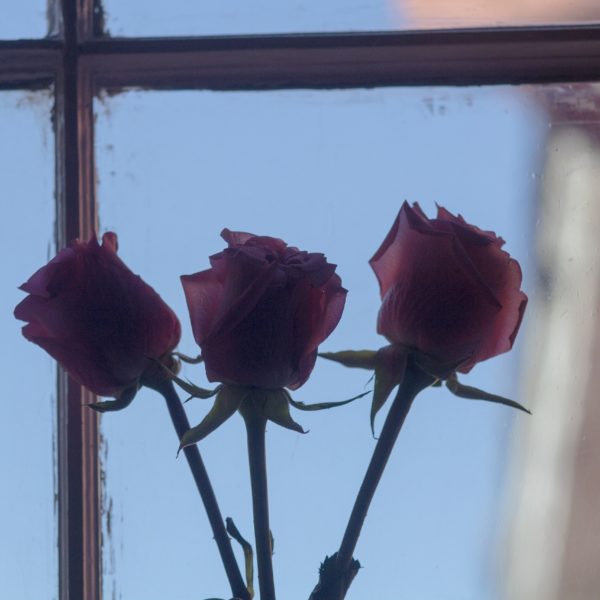 Bathroom Rose Sunday