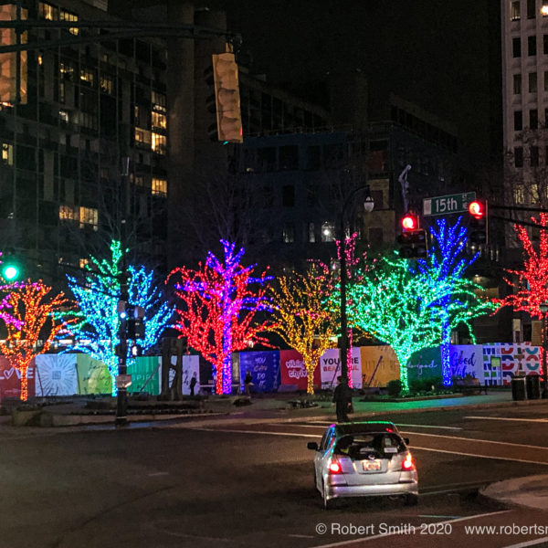 Sunday Trees: Brilliance