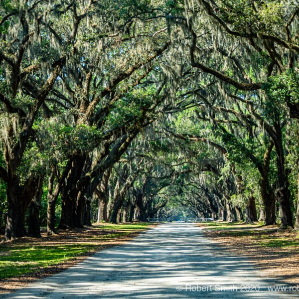Wormsloe Historic Site