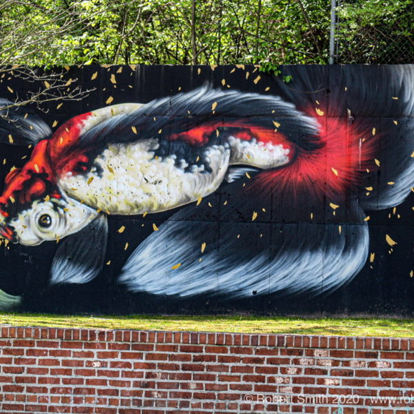 The Writing is on the Wall: Graffiti Series 12
