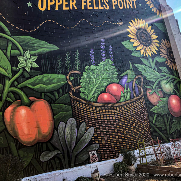 The Writing is on the Wall: Graffiti Series 11 Community Garden