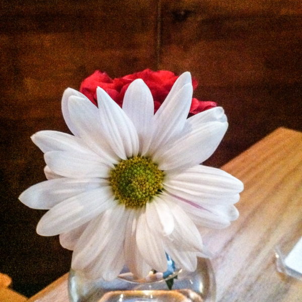 Flowers by Day 48: Daisy and Rose