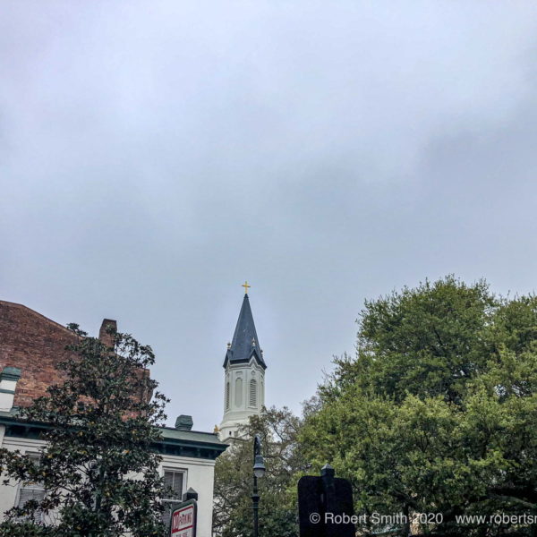 Silent Sunday: Looking Above for Something