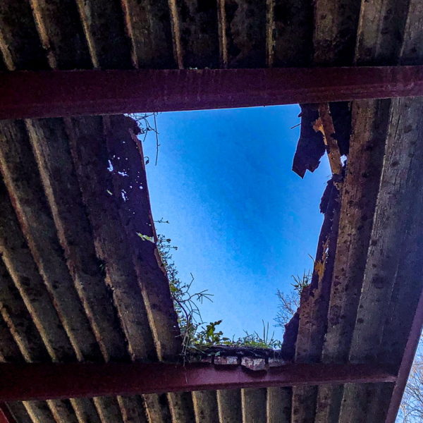 Last photo I took in February 2020