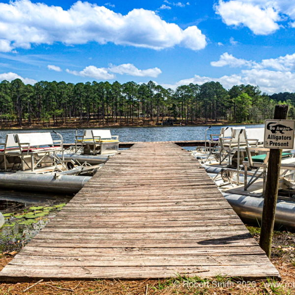 Six Word Saturday: Social Distancing at Gordonia-Alatamaha State Park