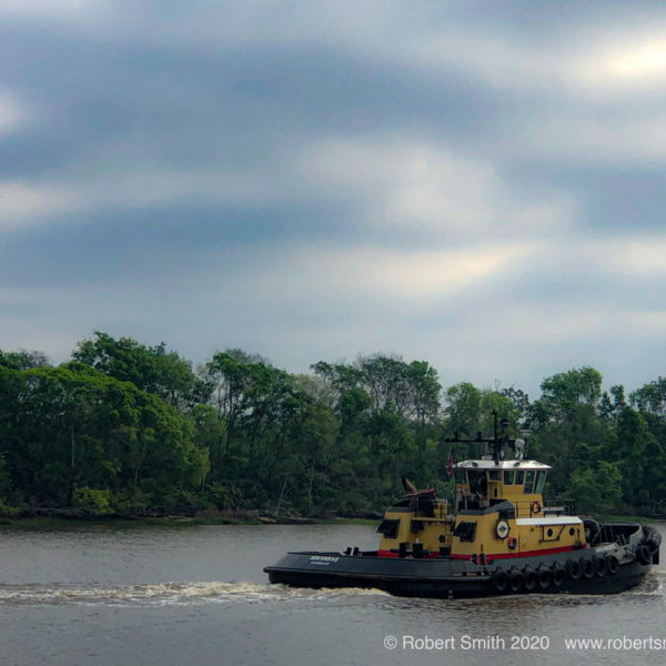 Sunday Snap Mar 29, 2020: Savannah River, The Tug then the Boat