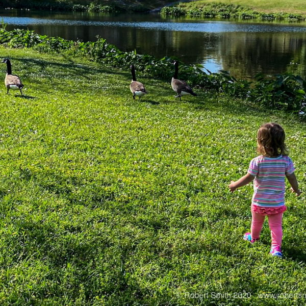 Wordless Wednesday: Momma, I Want to Kiss That Duck!