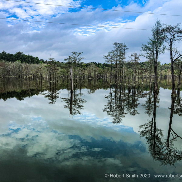 Wordless Wednesday: Social Distancing at George L Smith State Park