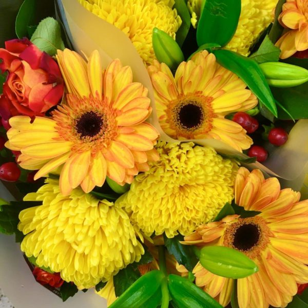 Silent Sunday: Reblogged Daily flower 💐 — Yellow …