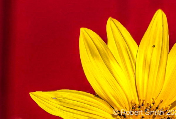 Today, Be Bright!