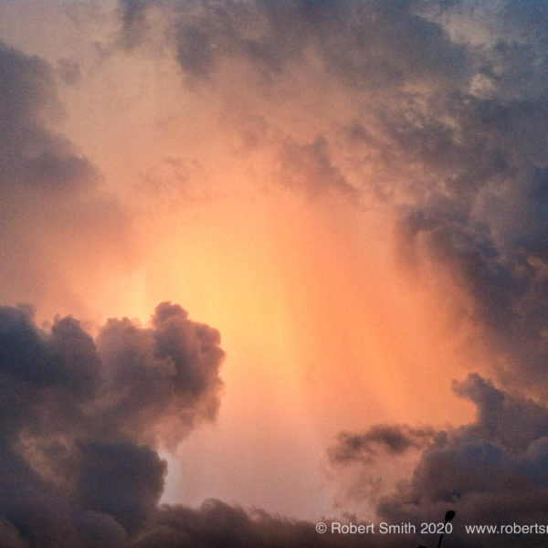Wordless Wednesday: Above it All