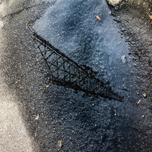 Lens Artists Photo Challenge 87: After the Rain