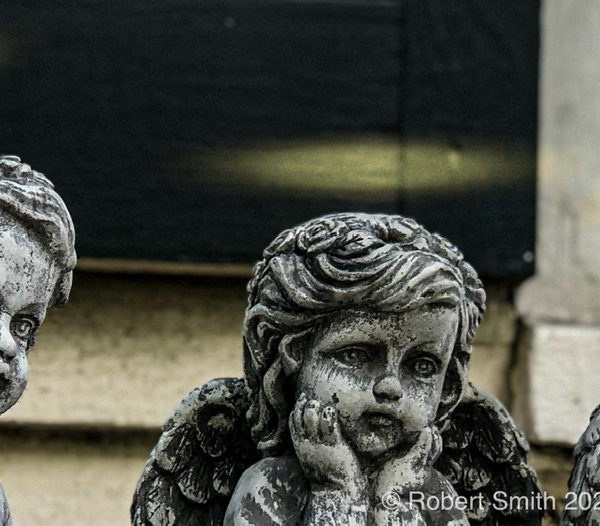 Wordless Wednesday: Watching You Pass By