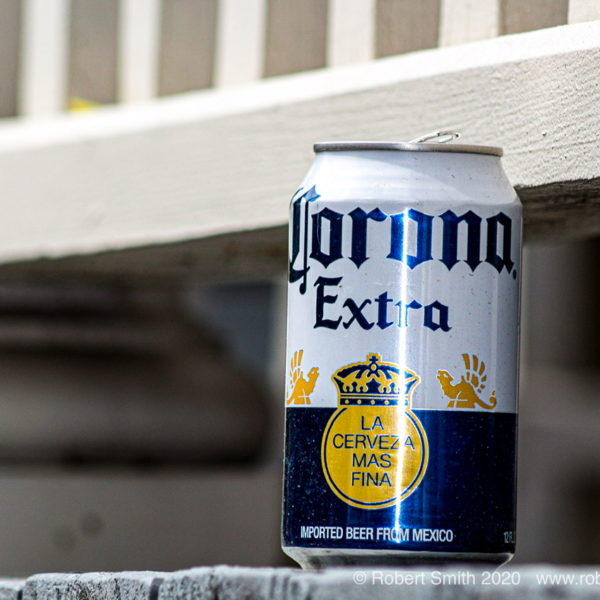 Corona Sighting in Savannah