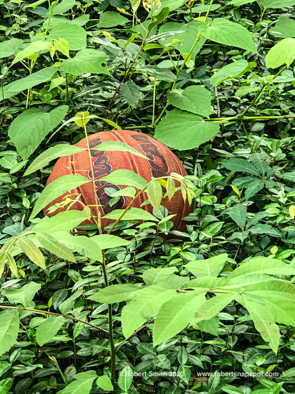 Six Word Saturday: Game delayed because of lost ball