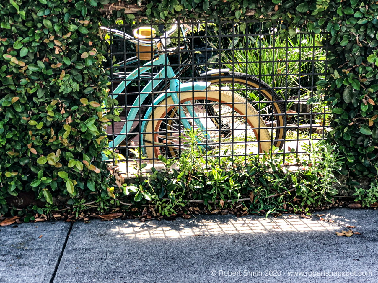 Terrific Twosomes #4 Bikes in Private Garden