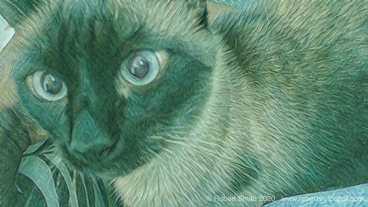 Photography: Photoshop Artful, Boopers: Floor to Lap