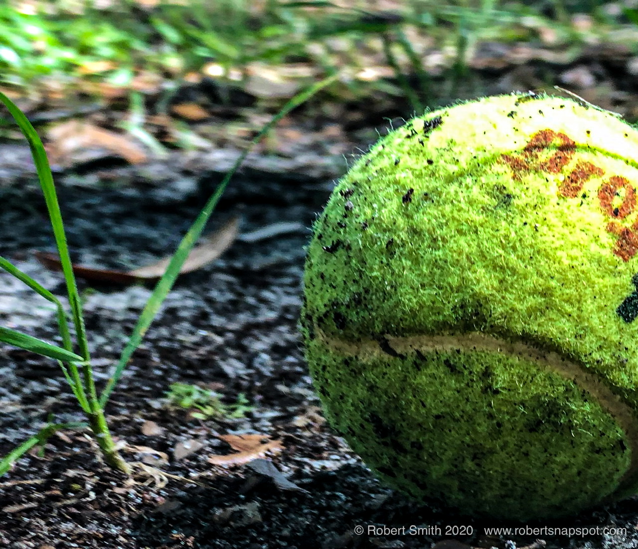 Wordless Wednesday: Off Court