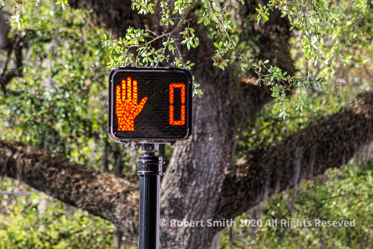 Sunday Snap July 5, 2020: Walk… Don’t Walk!