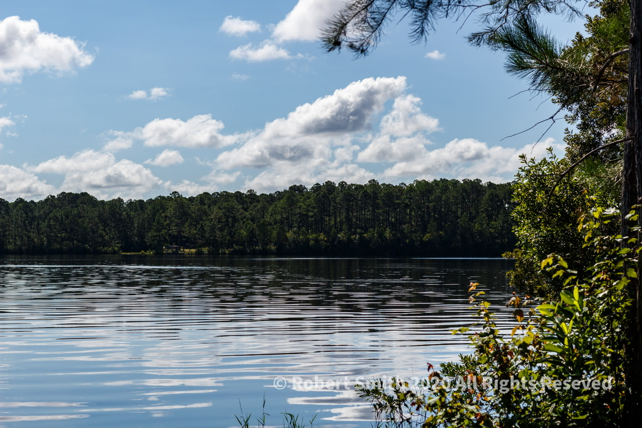Wordless Wednesday: Social Distancing at Laura S. Walker State Park