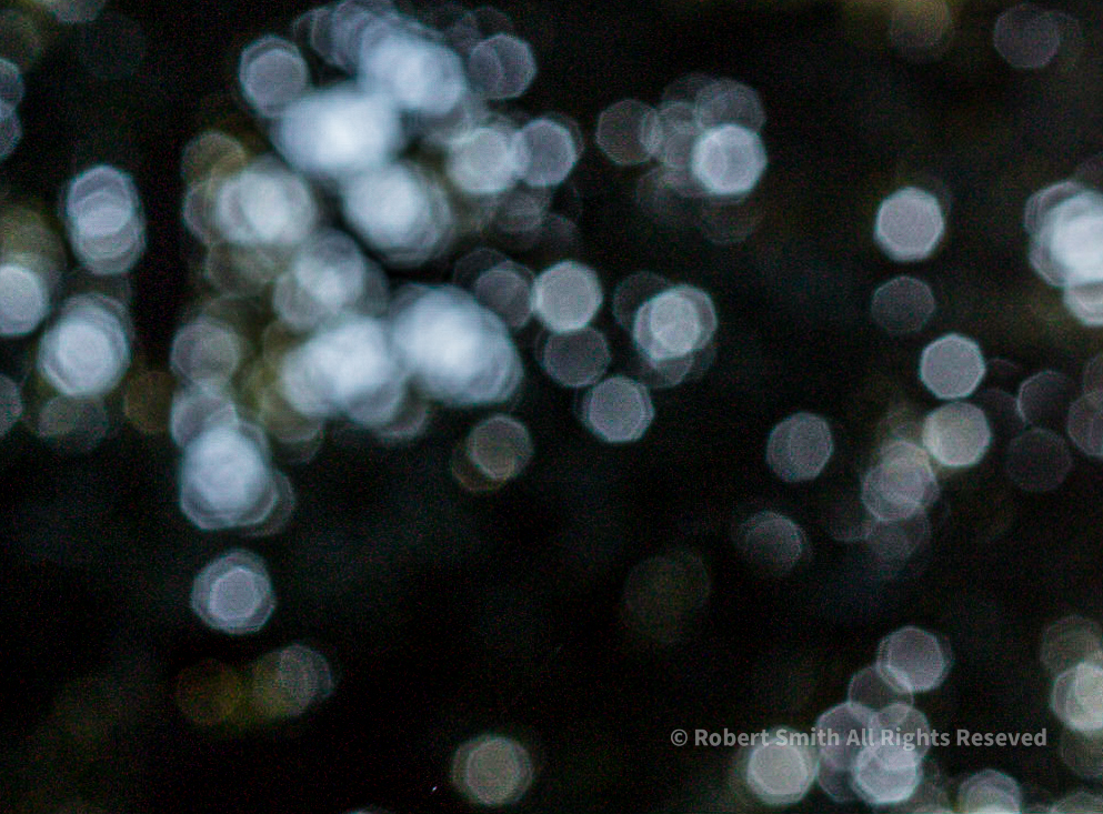 Photography: Bokeh 5