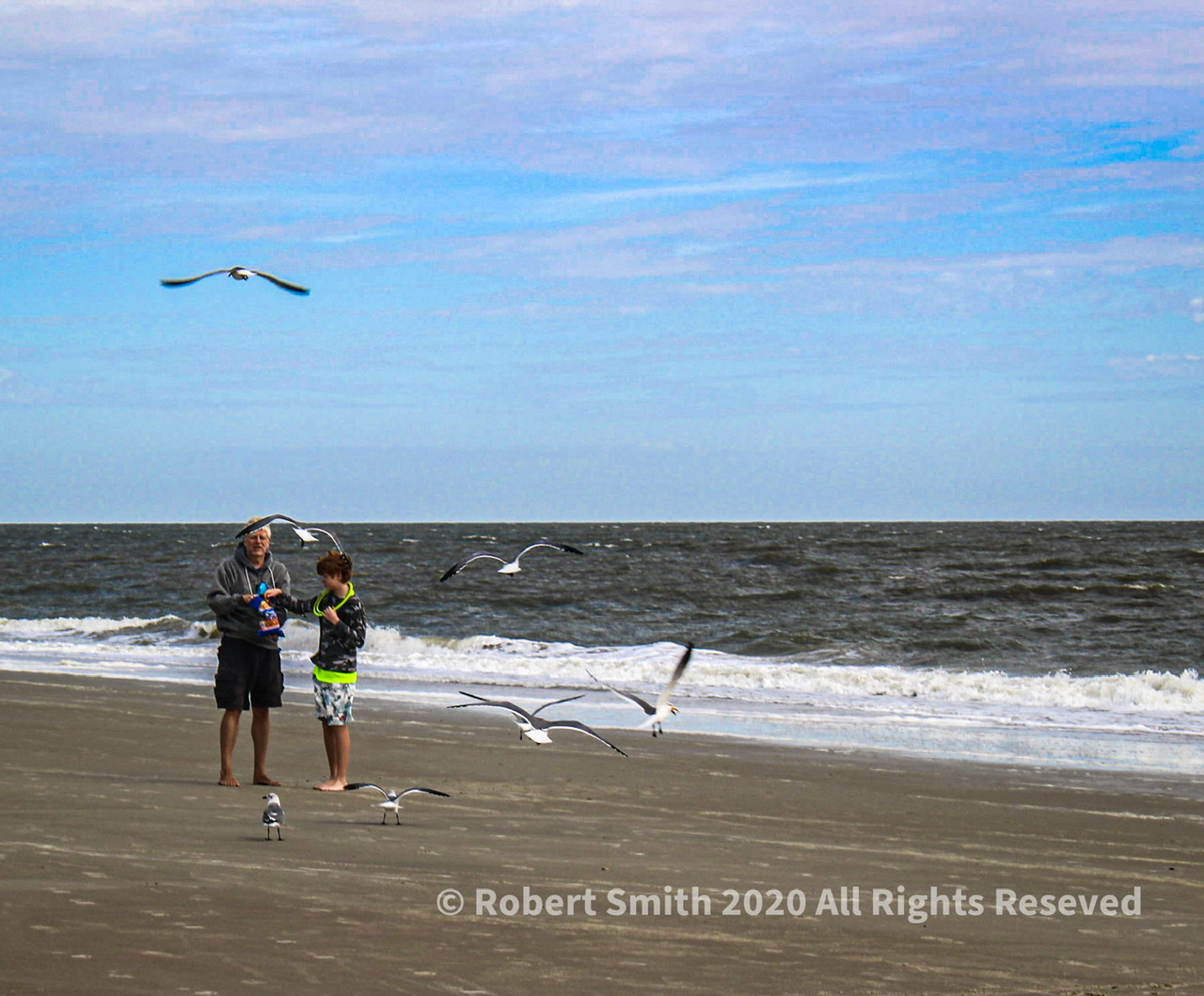 Birds rule the Beach