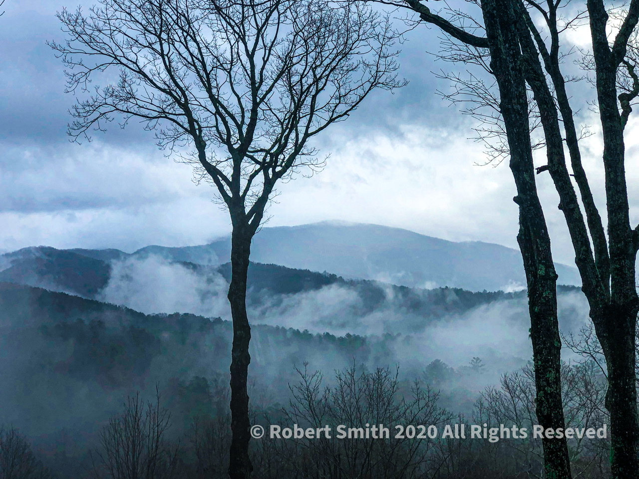 All Creation Cries Out: Not So Silent Sunday
