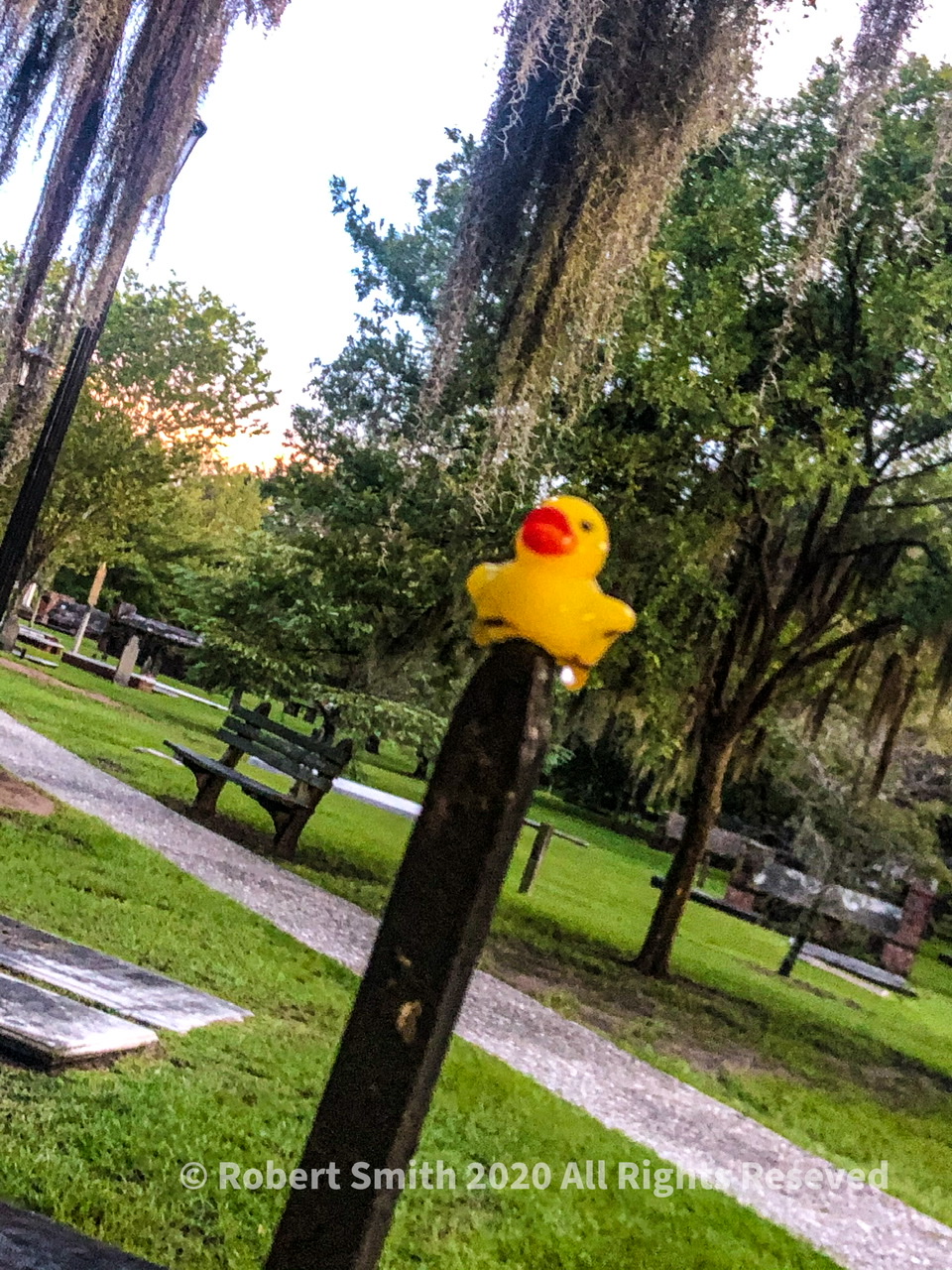 Oddball Challenge: Duck Duck Fence