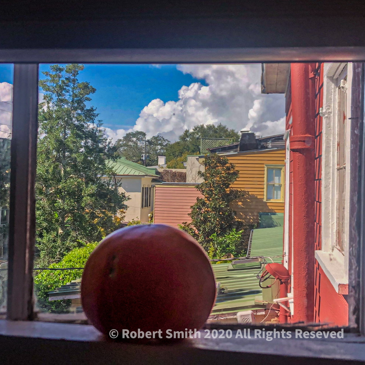Kinda Juicy: Sun Ripened Tomatoes