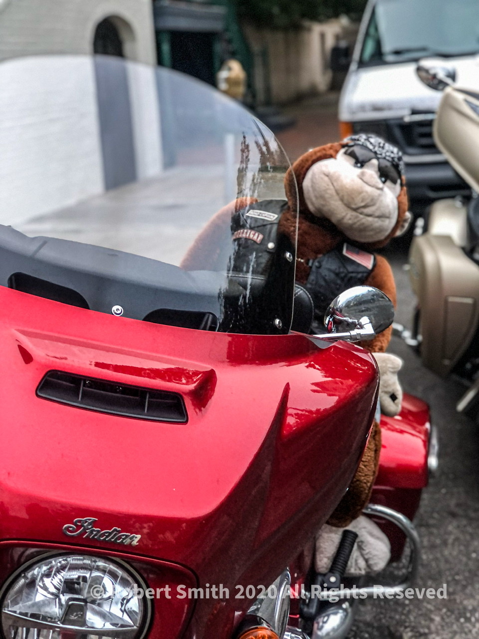 Wordless Wednesday: Kindhearted Biker Bear