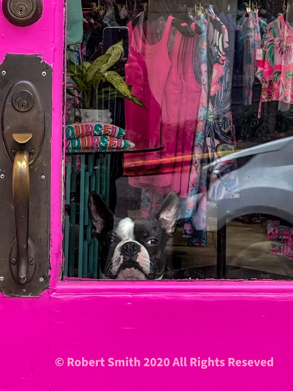 Sunday Snap Nov 29, 2020: Doggy Door