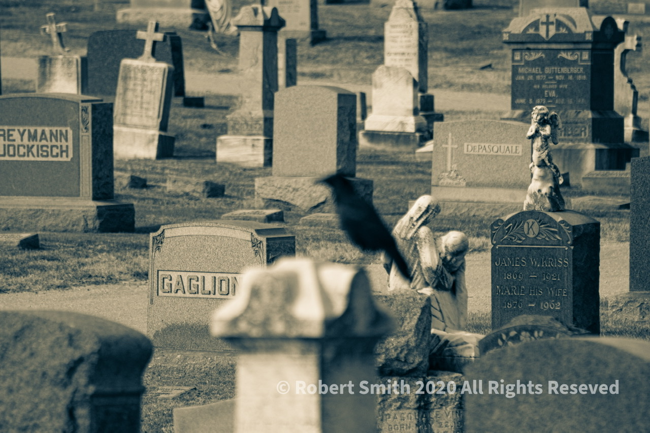 Repost, Read: One Word Sunday: Don’t Leave Before It’s Time