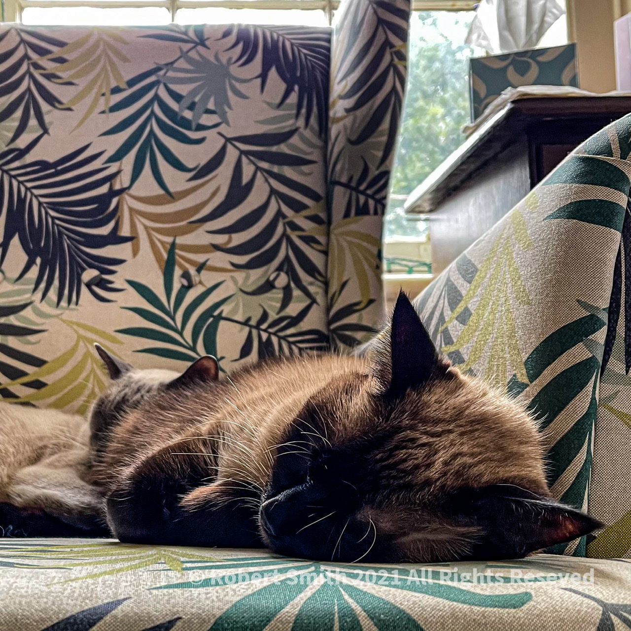 I’m Loving the Upholstery!