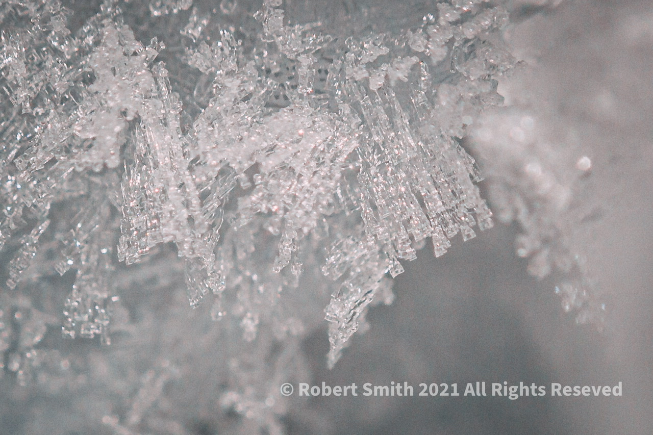 The Macro World: The Ice I See #1